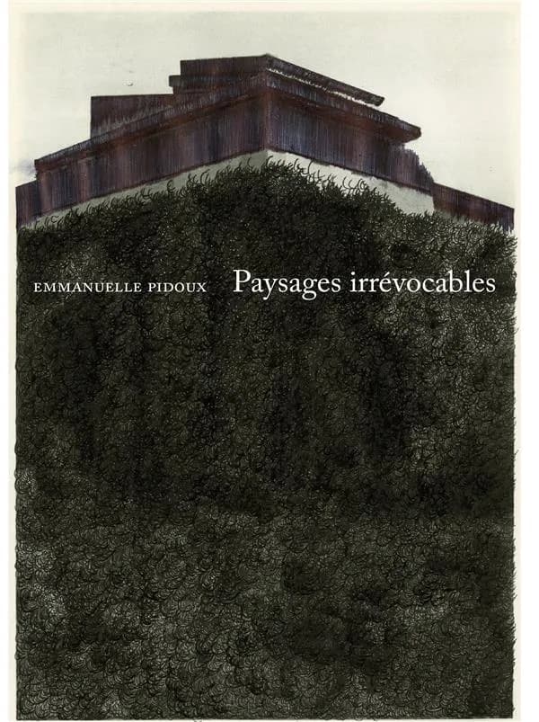 Paysages irrévocables : [portfolio de reproductions]