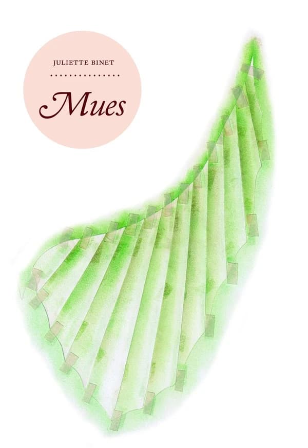 Mues