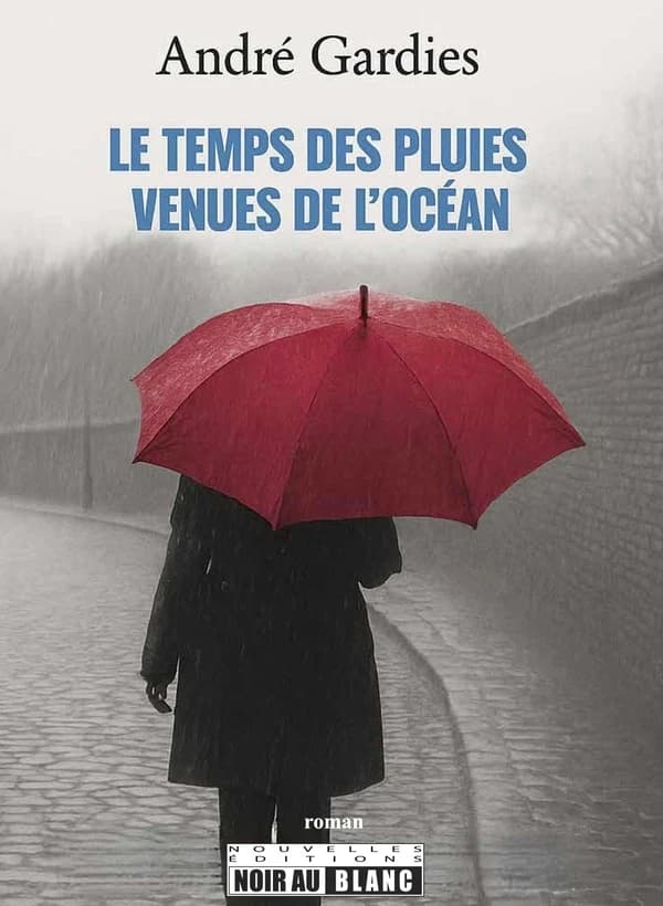Le temps des pluies venues de l'océan : roman
