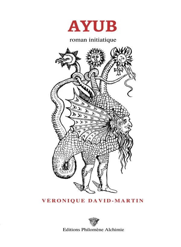 Ayub : roman initiatique