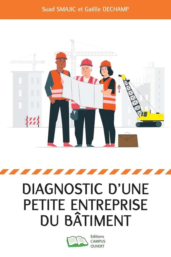 Diagnostic d'une petite entreprise du secteur bâtiment