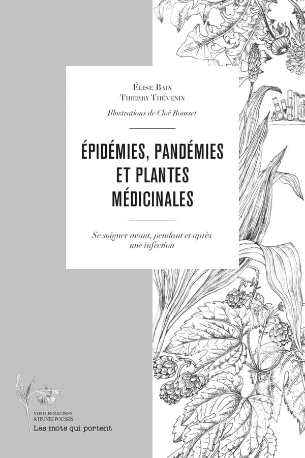 Épidémies, pandémies et plantes médicinales : se soigner avant, pendant et après une infection
