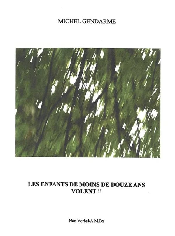 Les enfants de moins de douze ans volent !!