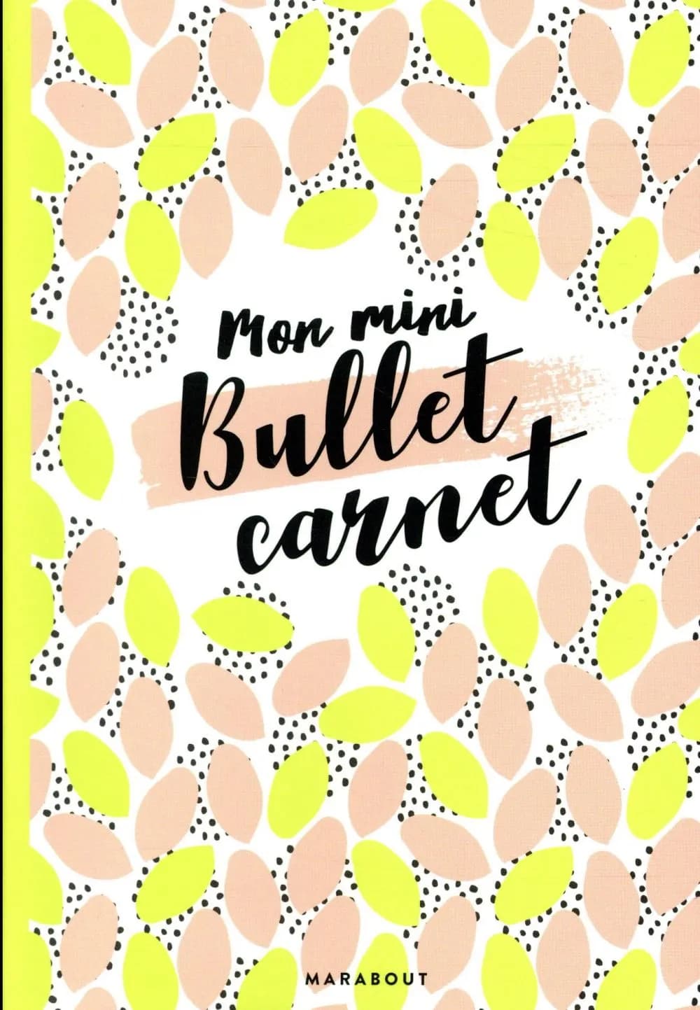 Mon mini-bullet carnet