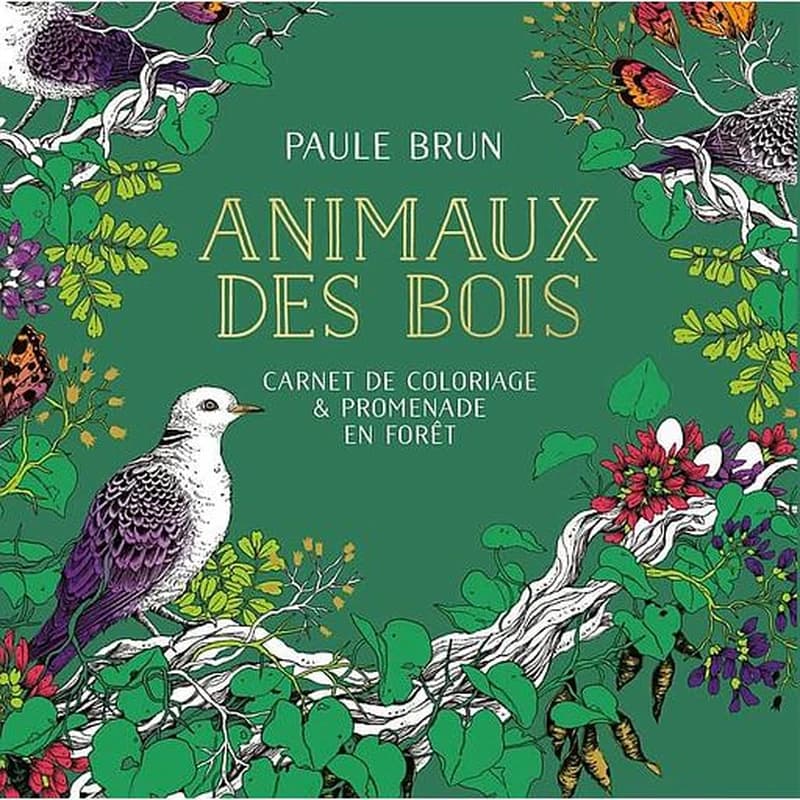 Animaux des bois : carnet de coloriage & promenade en forêt : [Album à colorier]