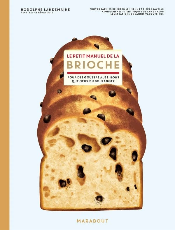 Le petit manuel de la brioche : pour des goûters aussi bons que chez le boulanger