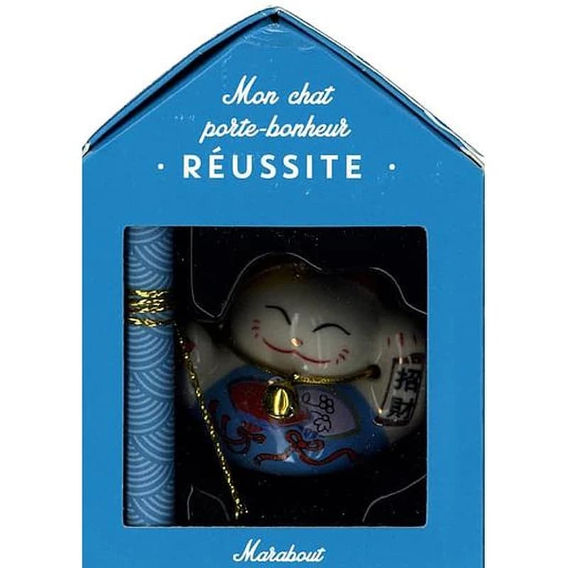 Mon chat porte-bonheur : Réussite