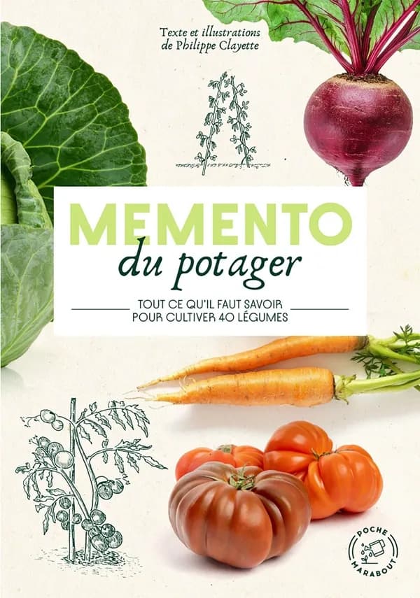 Mémento du potager : tout ce qu'il faut savoir pour cultiver 40 légumes