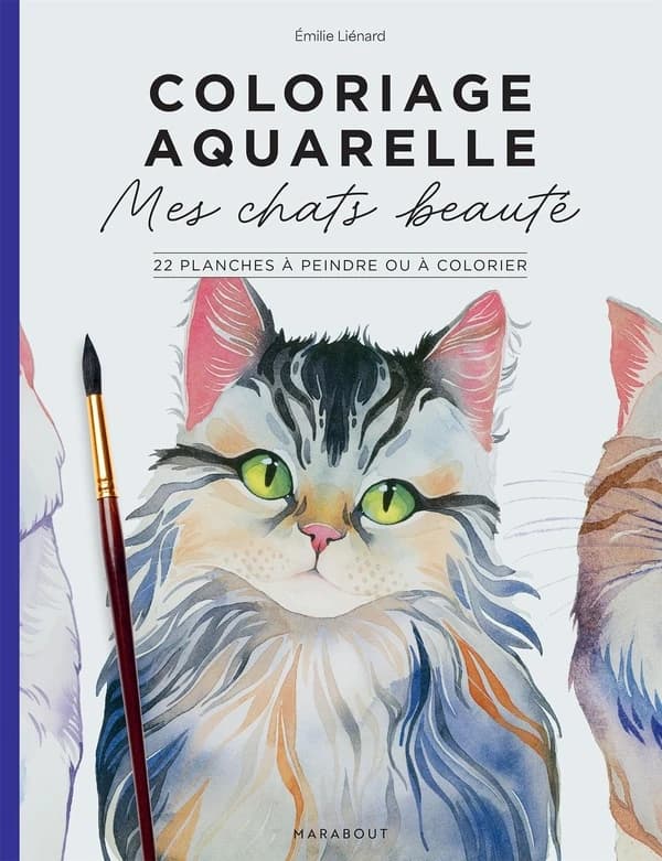Coloriage aquarelle : Mes chats beautés ; 22 planches à peindre ou à colorier