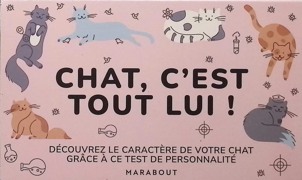 Chat, c'est tout lui ! Découvrez le caractère de votre chat grace à ce test de personnalité