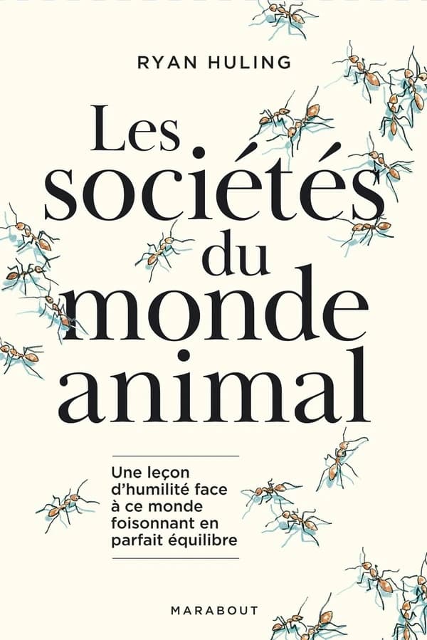 Les sociétés du monde animal : une leçon d'humilité face à ce monde foisonnant en parfait équilibre