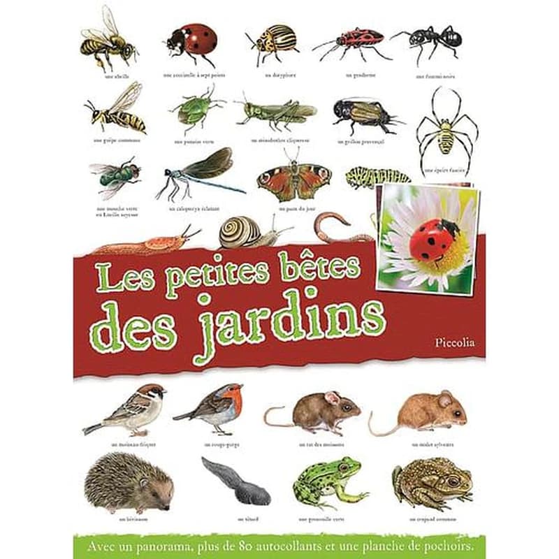 Les petites bêtes des jardins