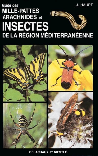 Guide des mille-pattes, arachnides et insectes de la région méditerranéenne