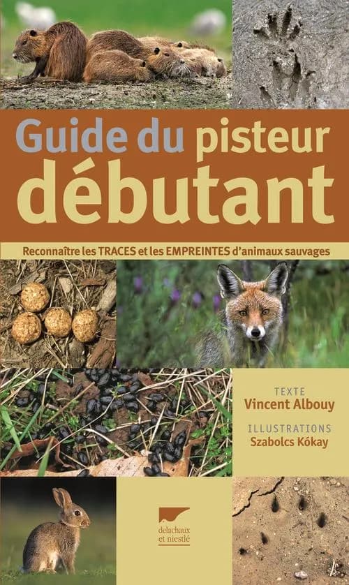 Guide du pisteur débutant : reconnaître les traces et les empreintes d'animaux sauvages