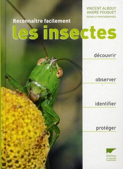 Reconnaître facilement les insectes