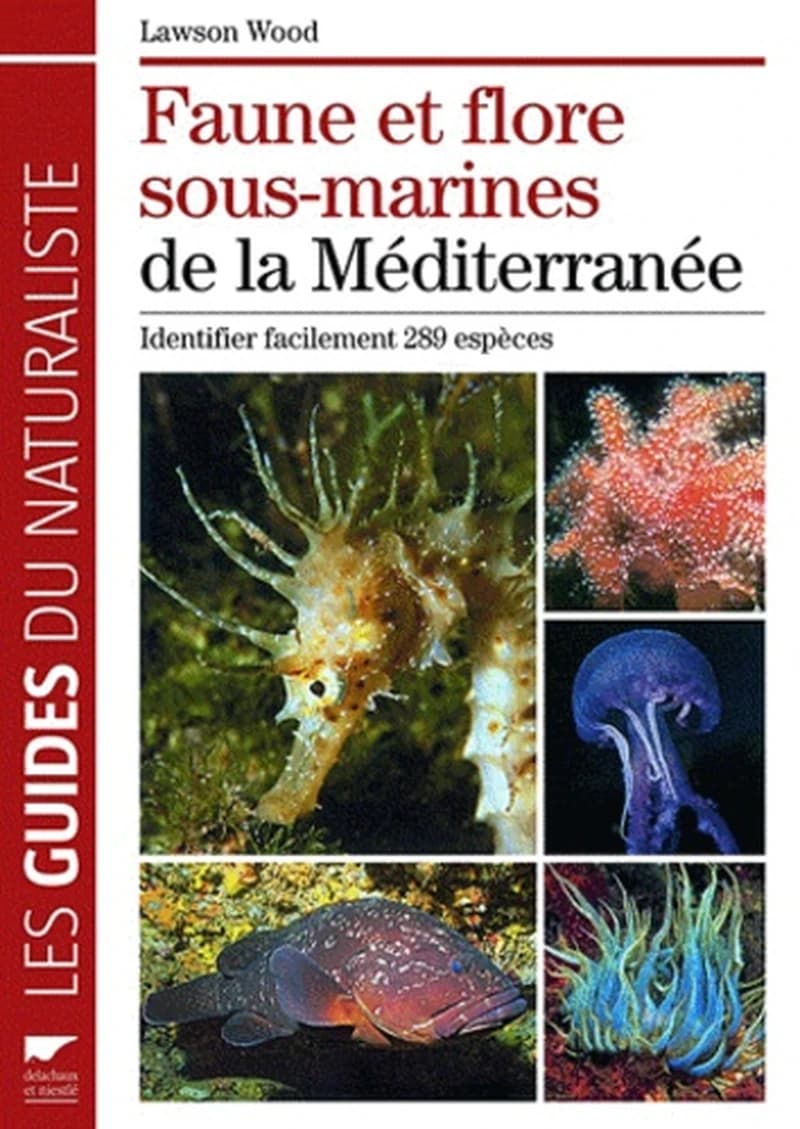 Faune et flore sous-marines de la Méditerranée