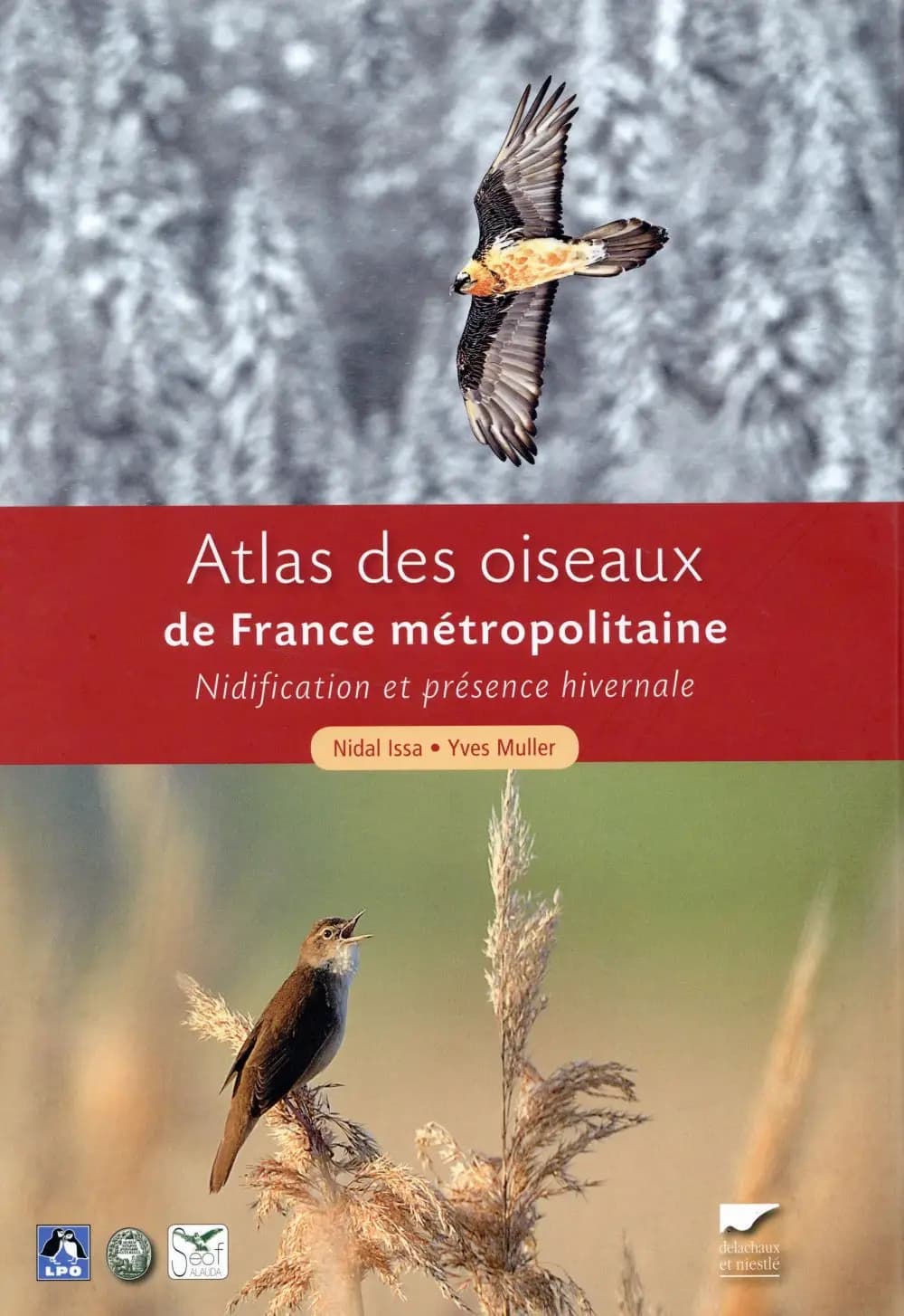 Atlas des oiseaux de France métropolitaine : nidification et présence hivernale