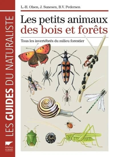 Les Petits animaux des bois et forêts. Tous les invertébrés du milieu forestier