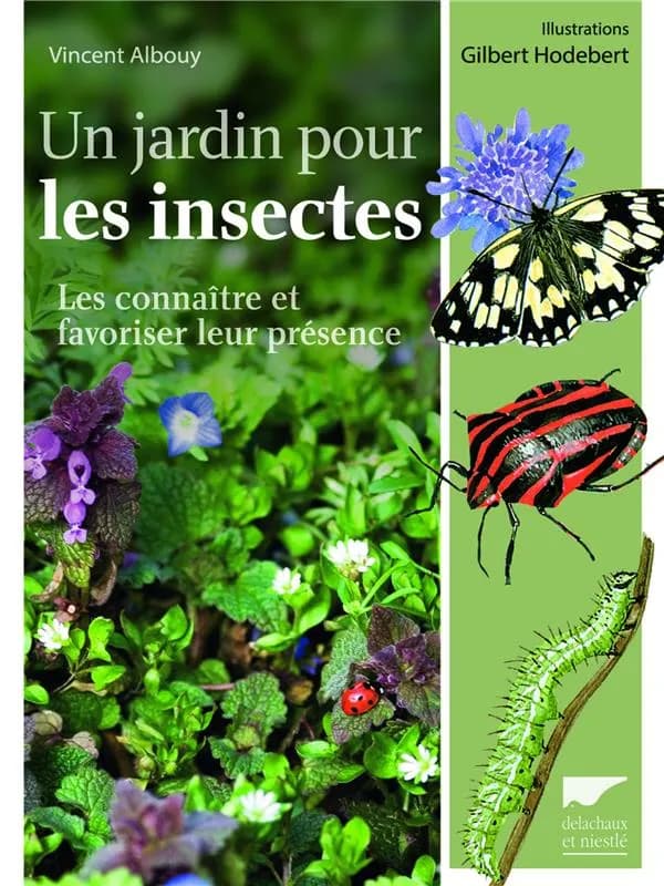 Un jardin pour les insectes : les connaître et favoriser leur présence (Nouvelle éd. mise à jour) Vincent Albouy ; illustrations de Gilbert Hodebert