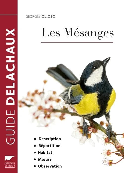 Les mésanges : description, répartition, habitat, moeurs, observation