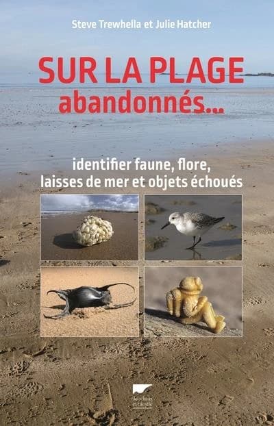 Sur la plage abandonnés : identifier faune, flore, laisses de mer et objets échoués