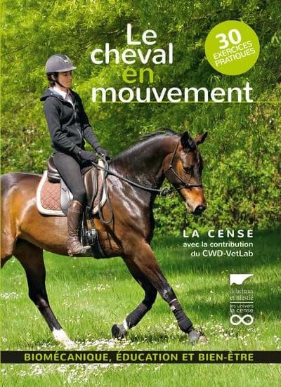 Le cheval en mouvement
