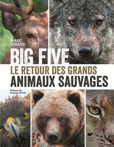 Big five : le retour des grand animaux sauvages