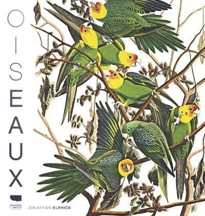 Oiseaux ([Nouvelle éd.]) Jonathan Elphick ; traduction de Éric Wessberge
