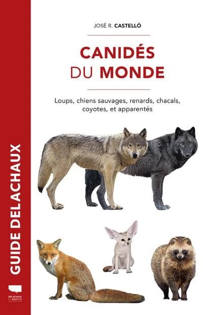 Les canidés du monde : loups, chiens sauvages, renards, chacals, coyotes et apparentés
