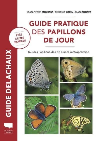 Guide pratique des papillons de jour: tous les Papilionoidea de France métropolitaine