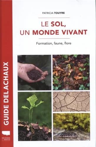 Le sol, un monde vivant : Formation, faune, flore
