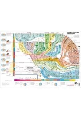 Atlas des vertebres