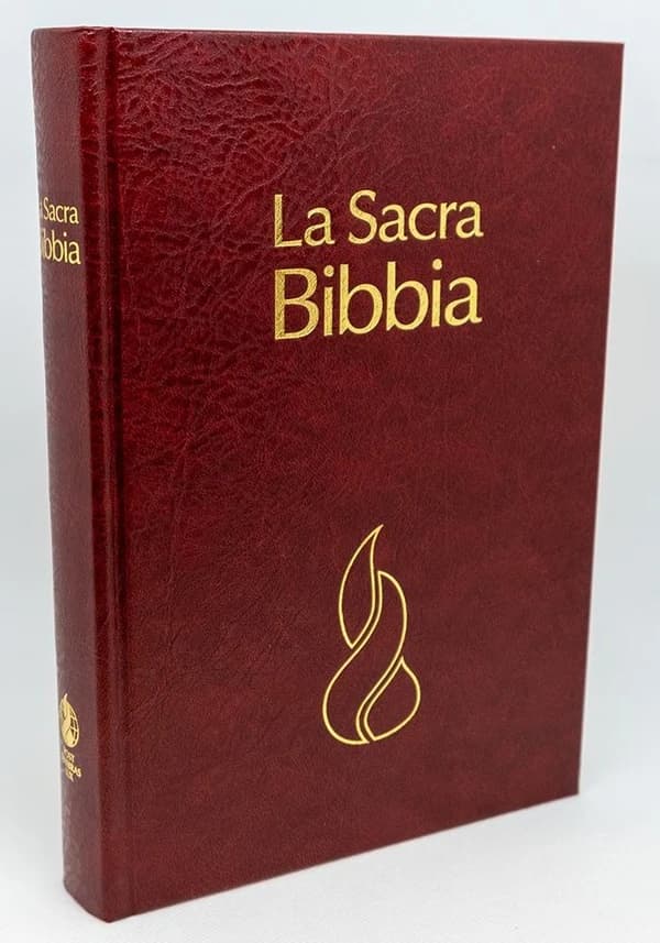 Bibbia Nuova Riveduta : Copertina rigida bordeaux