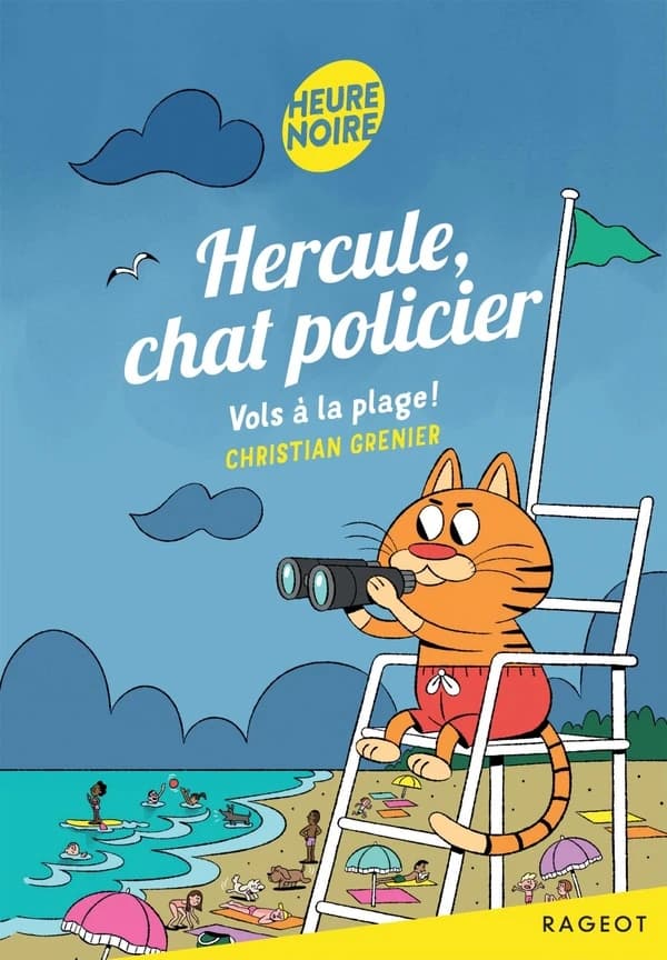 Vols à la plage !