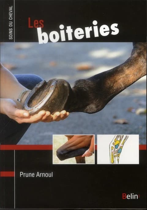 Guide pratique des boiteries