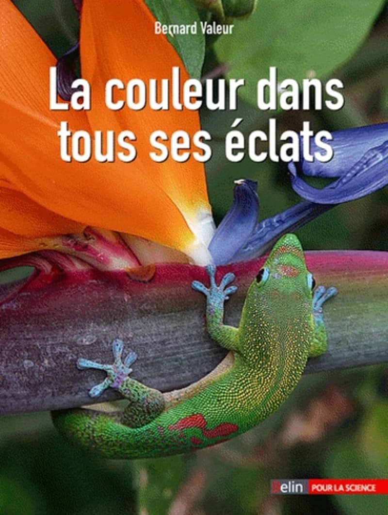 La couleur dans tous ses éclats