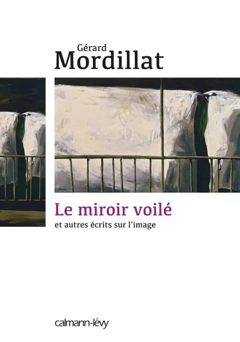 Le miroir voilé et autres écrits sur l'image