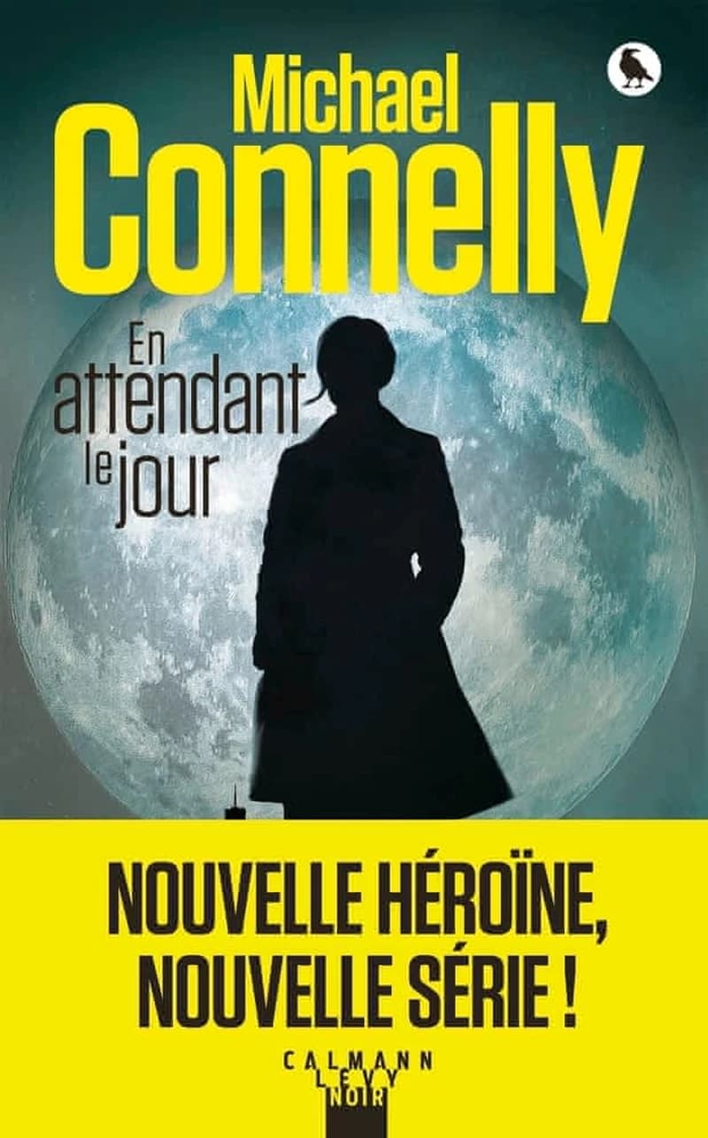 En attendant le jour : roman