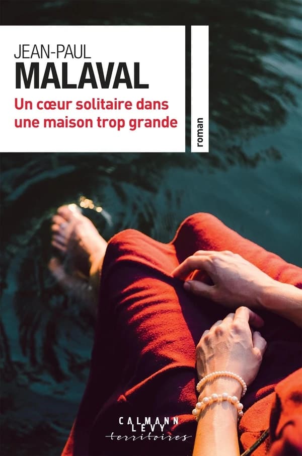 Un coeur solitaire dans une maison trop grande : roman
