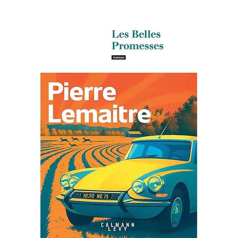 Les belles promesses : roman