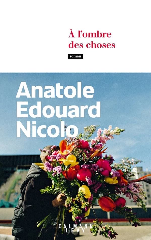 À l'ombre des choses : roman