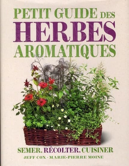 Petit guide des herbes aromatiques
