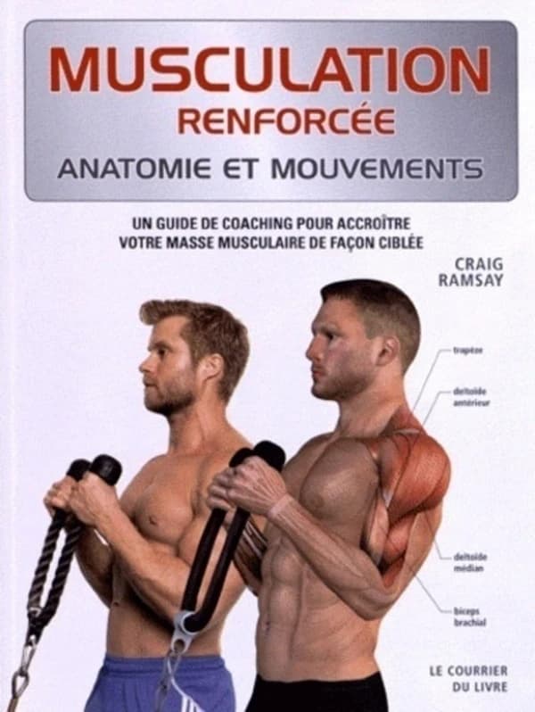 Musculation renforcée : anatomie et mouvements