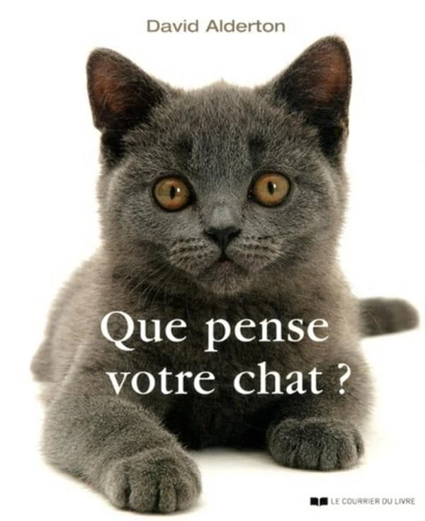 Que pense votre chat ? : à la découverte du langage secret des chats (3e éd.) David Alderton