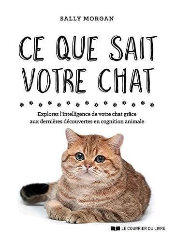 Ce que sait votre chat : explorez l'intelligence de votre chat grâce aux dernières découvertes en cognition animale