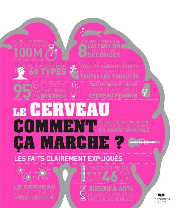 Le cerveau, comment ça marche ? : les faits clairements expliqués
