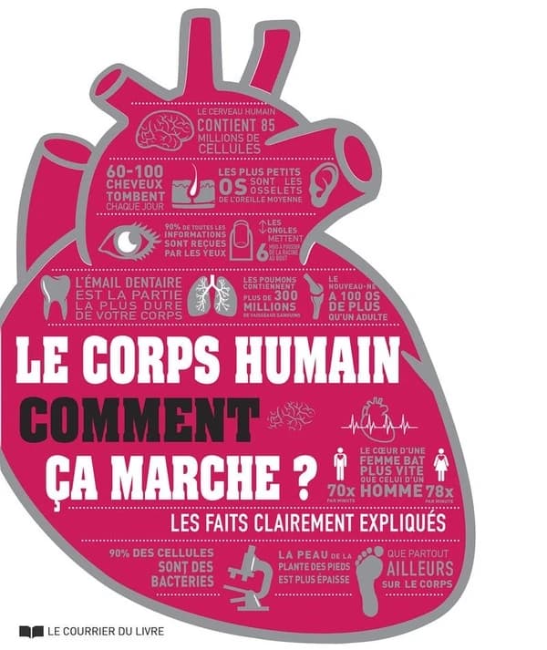 Le corps humain : comment ça marche ?