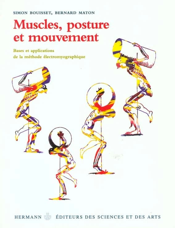 Muscles posture et mouvement