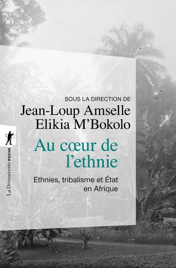 Au coeur de l'ethnie : ethnies, tribalisme et État en Afrique
