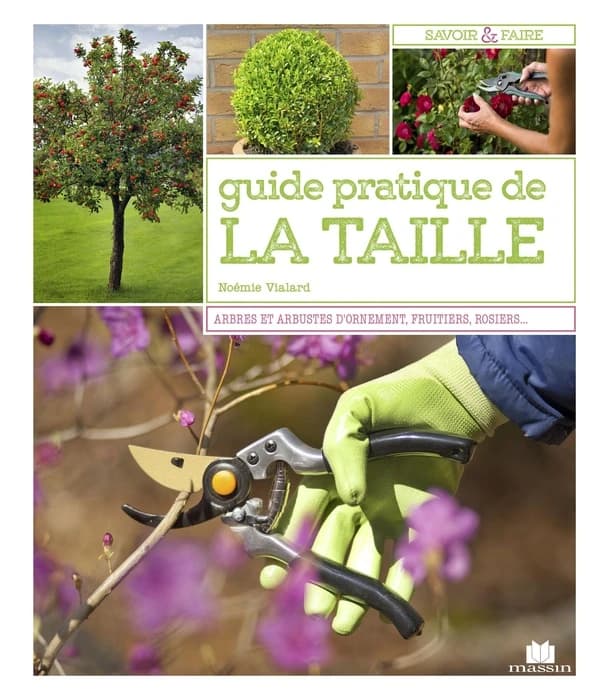 Le guide pratique de la taille